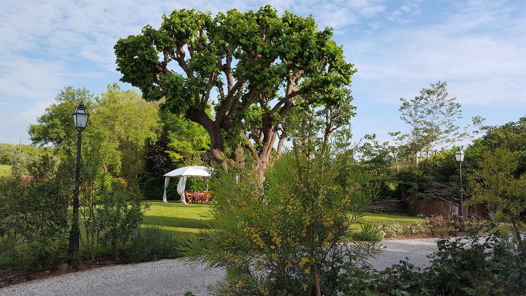 B&B Casa Pagliette Cavriana Eksteriør billede